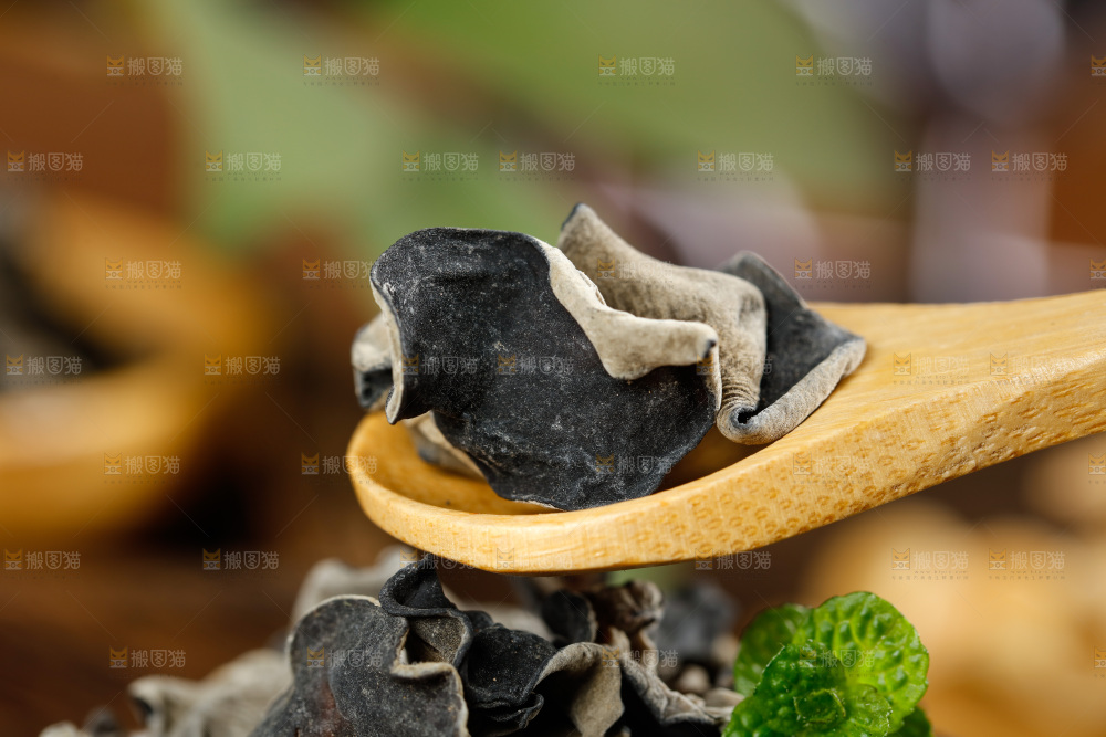 木底上的野生木耳
