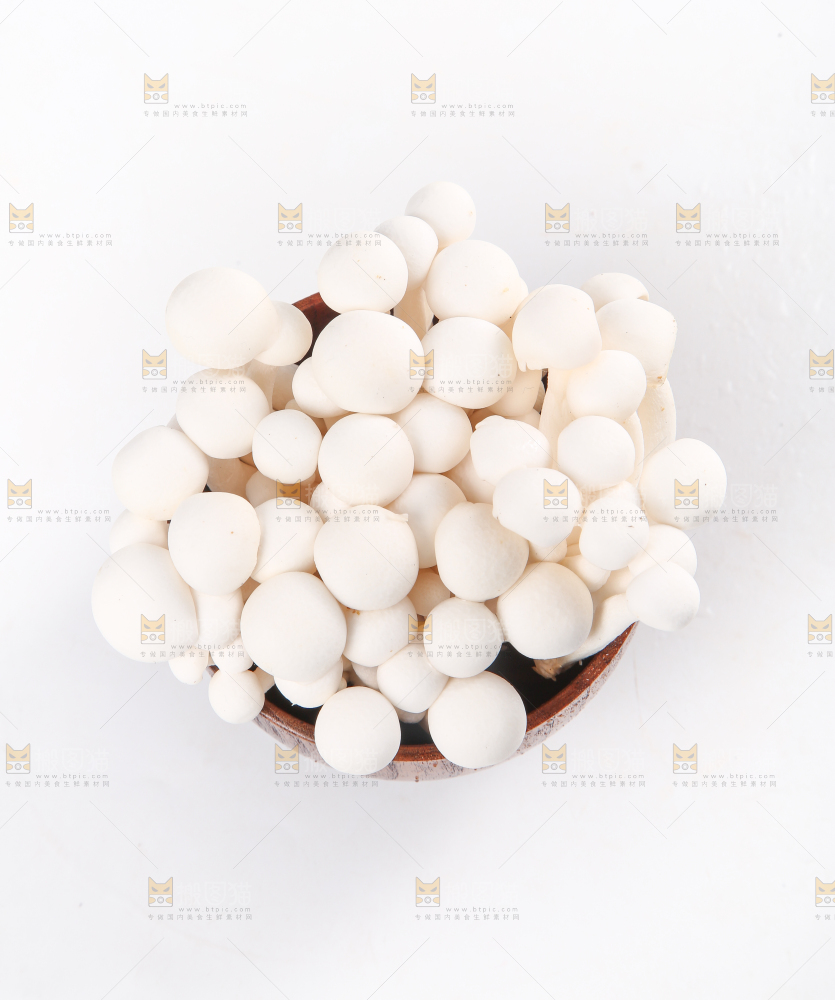 白底上的白玉菇