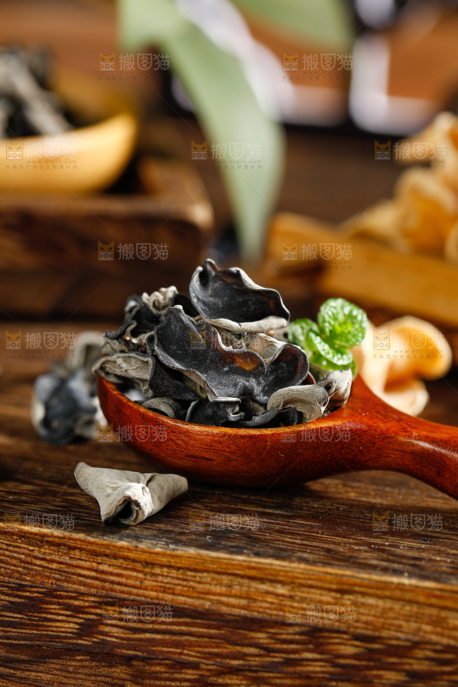 木底上的野生木耳