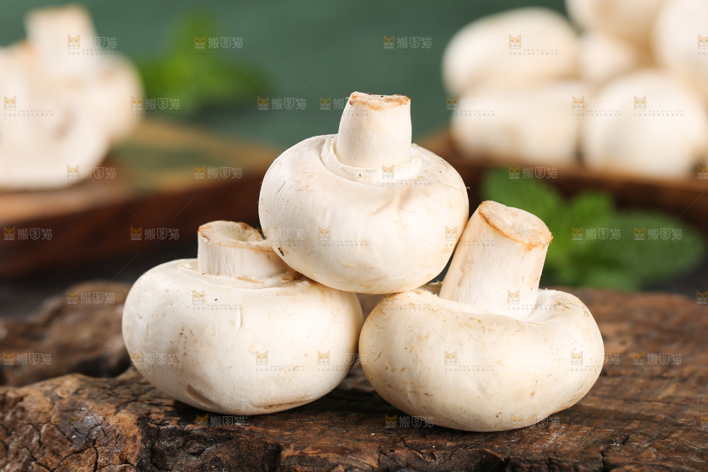 深底上的口蘑