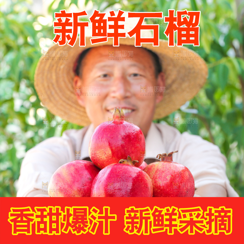 农民手上端着一篮软籽石榴