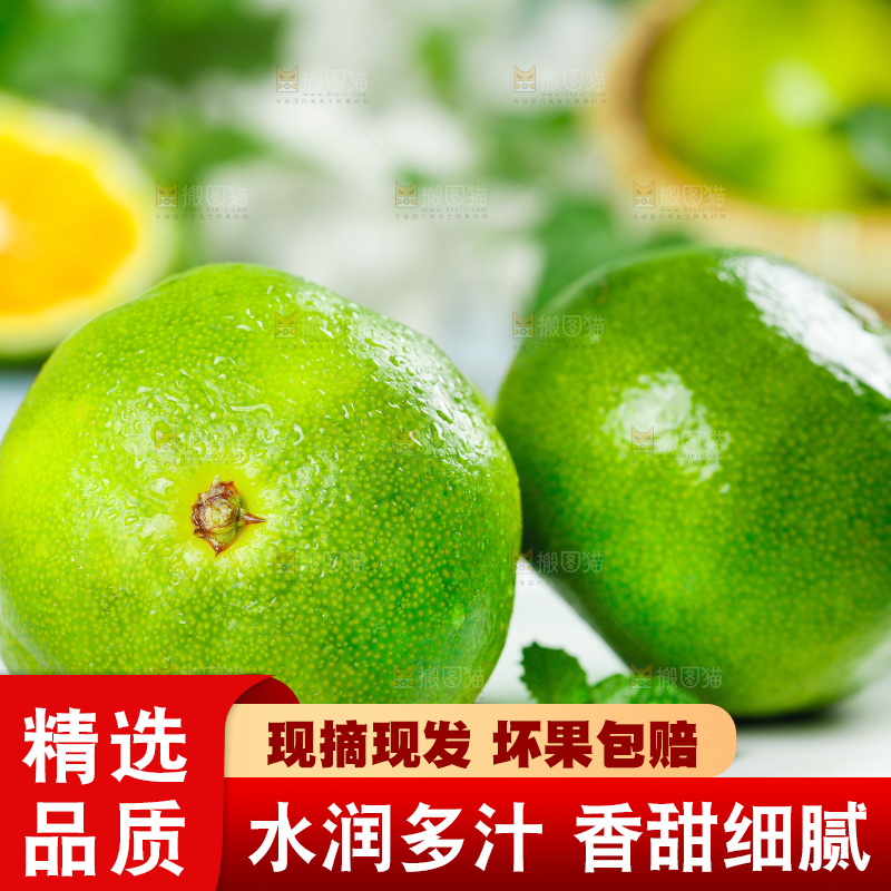白底上的青皮蜜橘