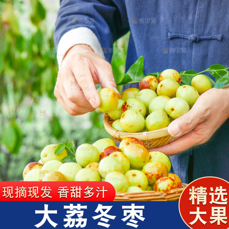 绿草坪上的大荔冬枣
