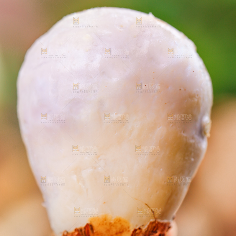手上拿着小香芋