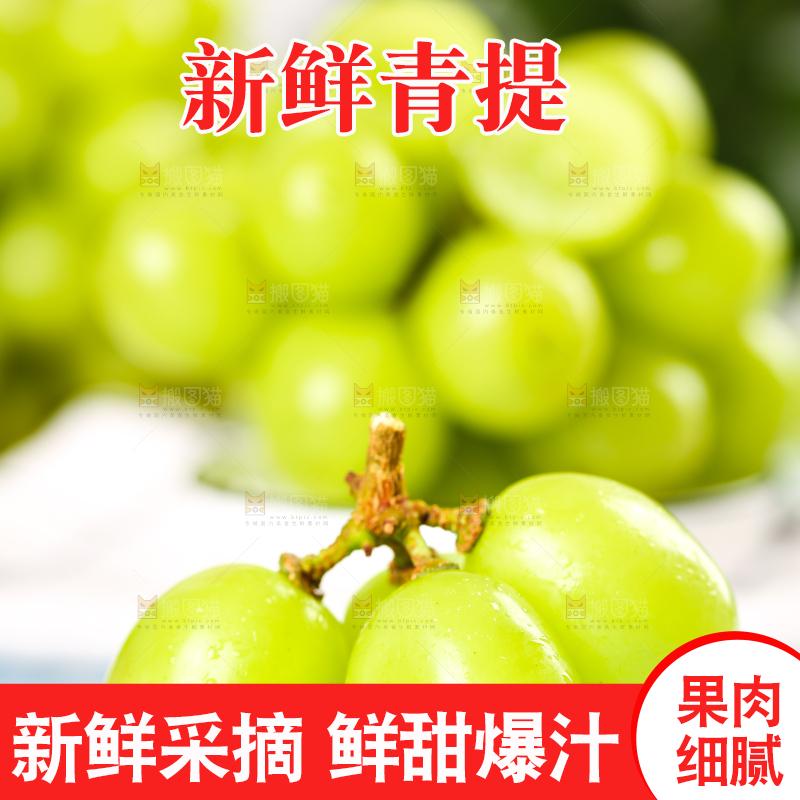 浅底上的无籽青提