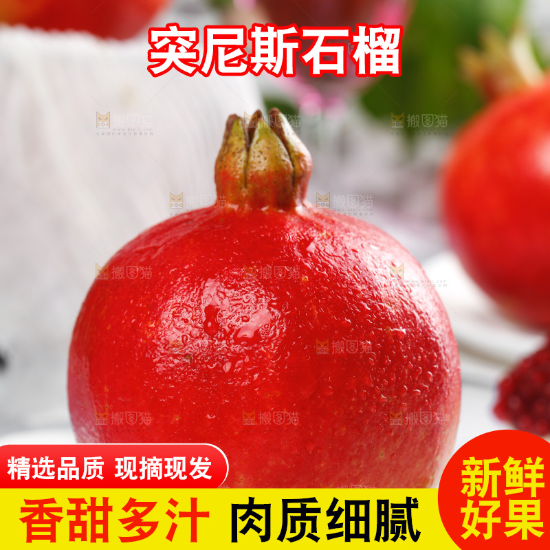 白石底上的红石榴