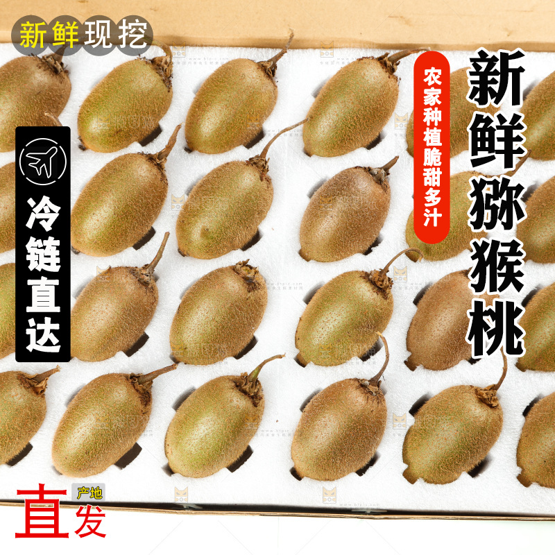 佳沛奇异果主图