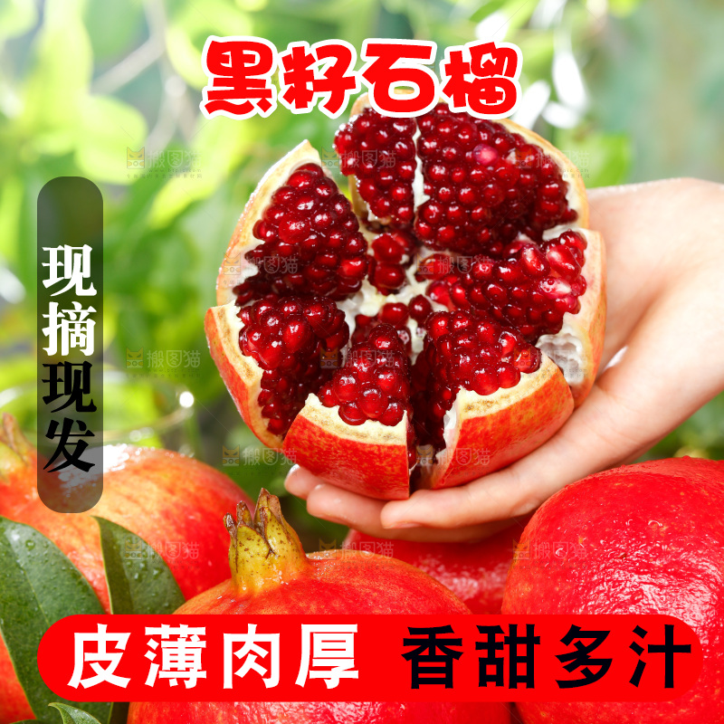 手上拿着软籽石榴