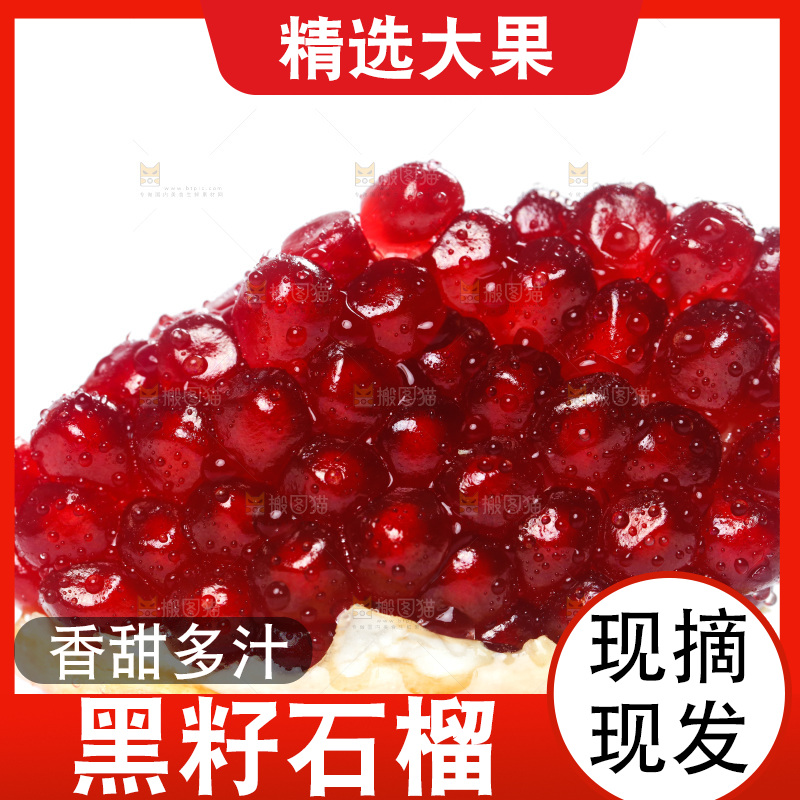 白底上的突尼斯软籽石榴
