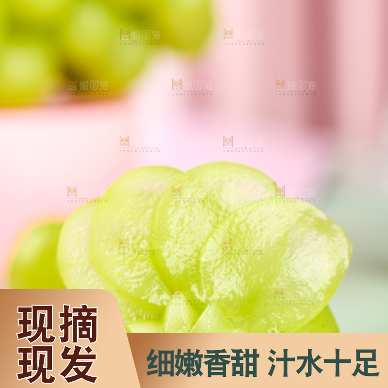 石垫上的阳光玫瑰
