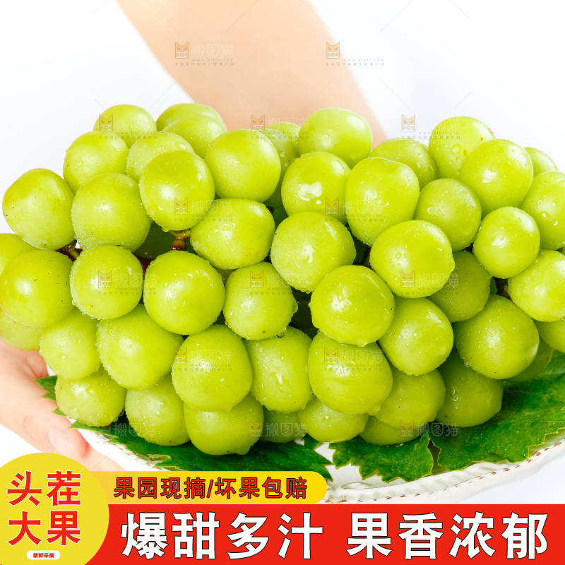 手上端着一盘晴王青提