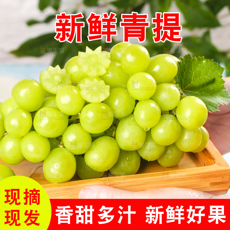 手上端着一盘晴王阳光玫瑰