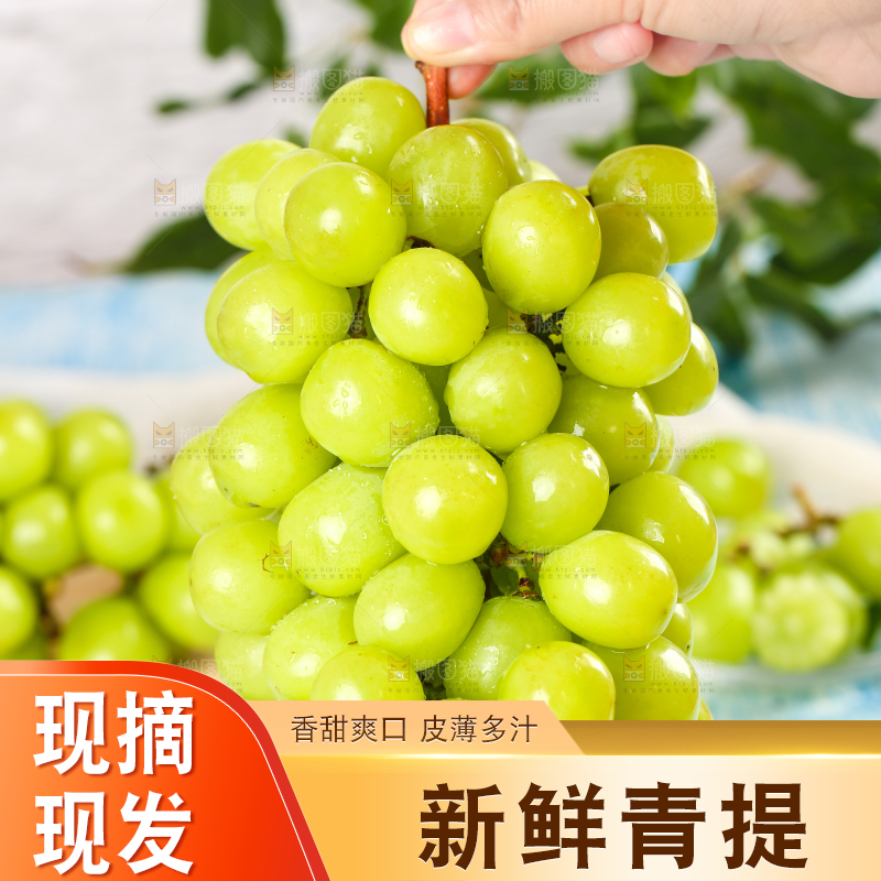 手上拿着一串新鲜阳光玫瑰