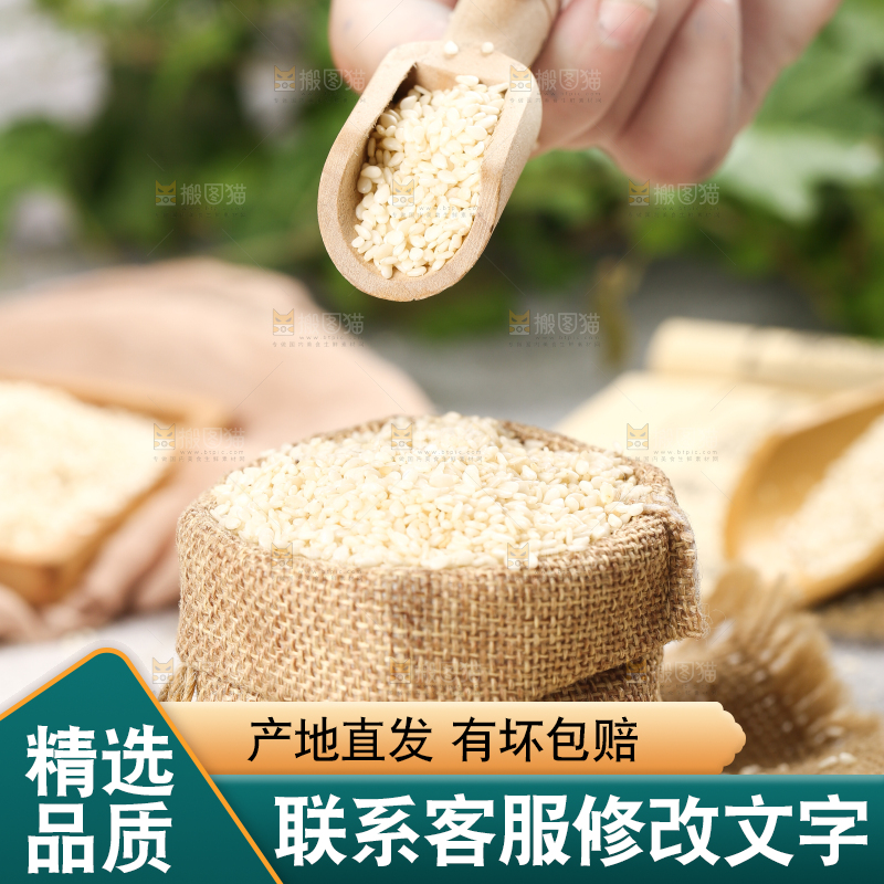 小麻袋里装着生芝麻和勺子上挖着芝麻