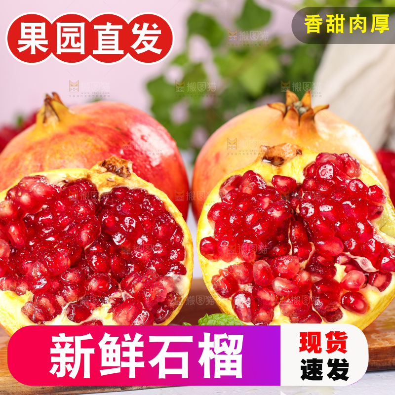 木板上的软籽红石榴