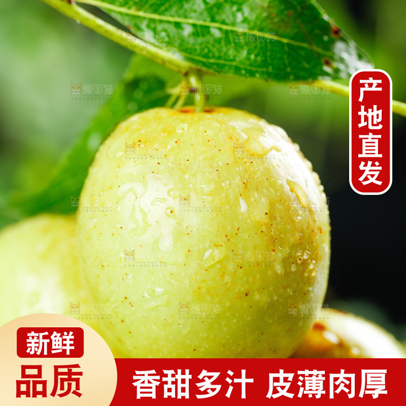 一堆新鲜冬枣