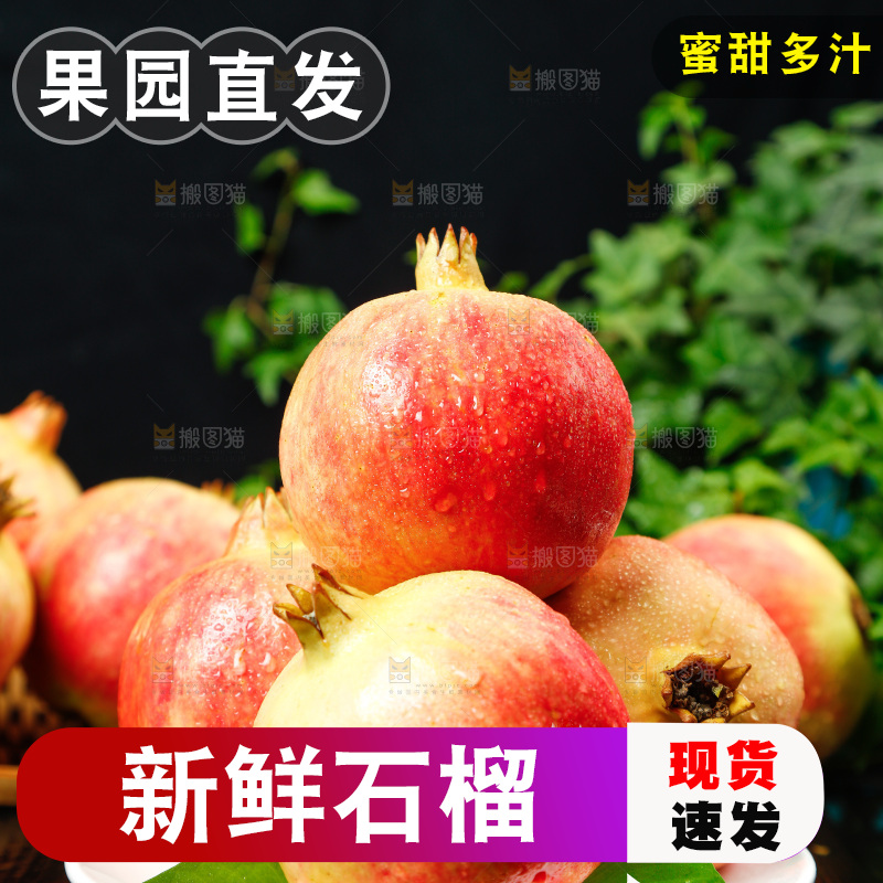 黑底上一盘软籽红石榴