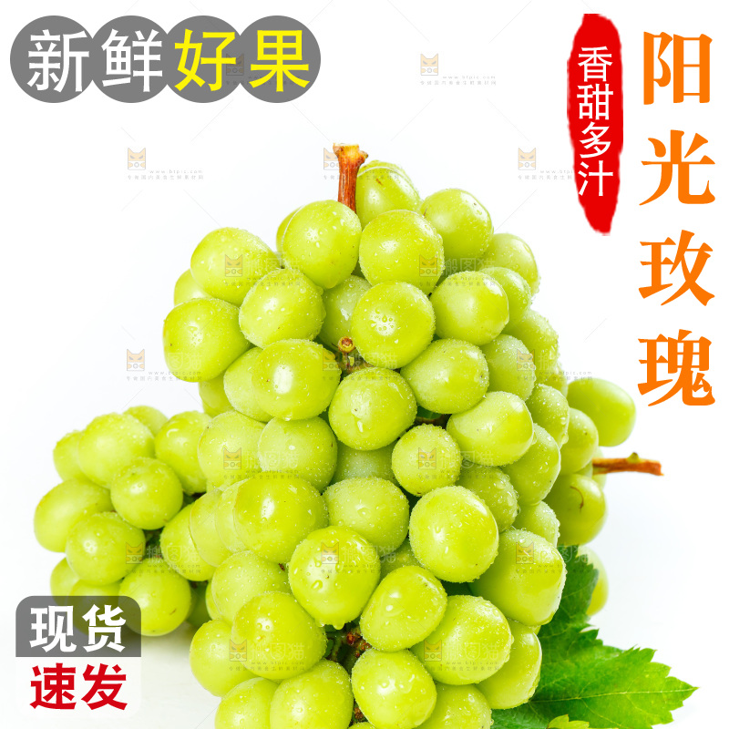 白底上的香印青提
