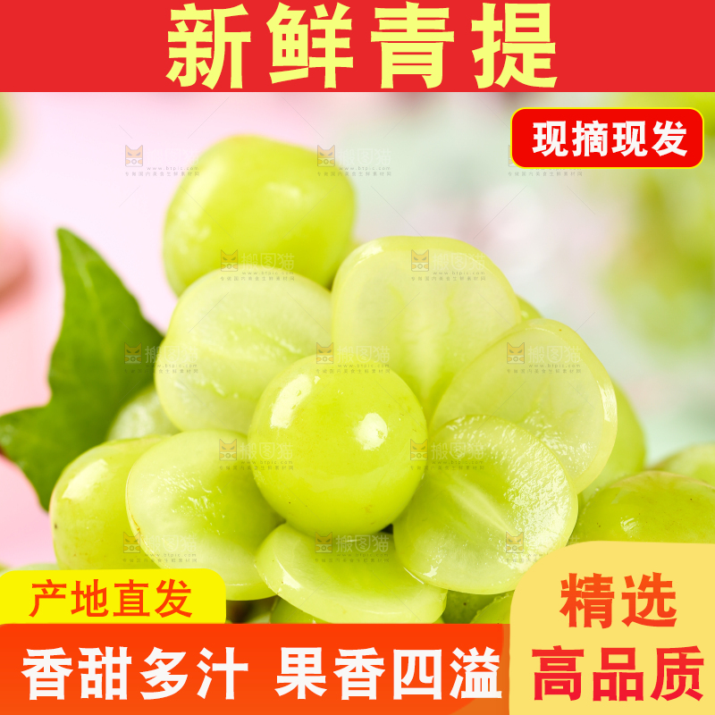 一堆新鲜的阳光玫瑰葡萄