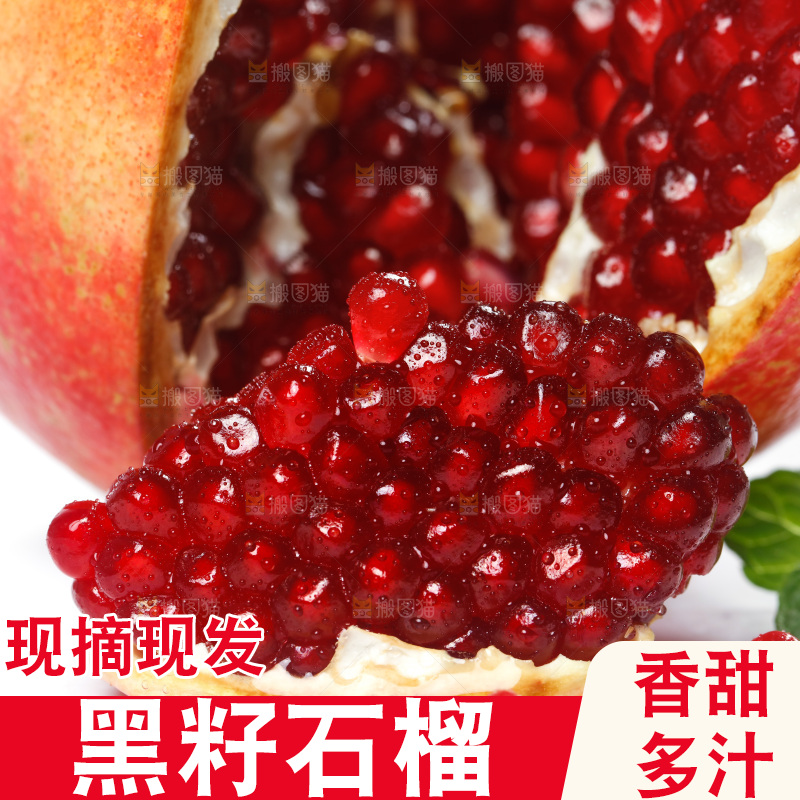 白底上的突尼斯软籽石榴