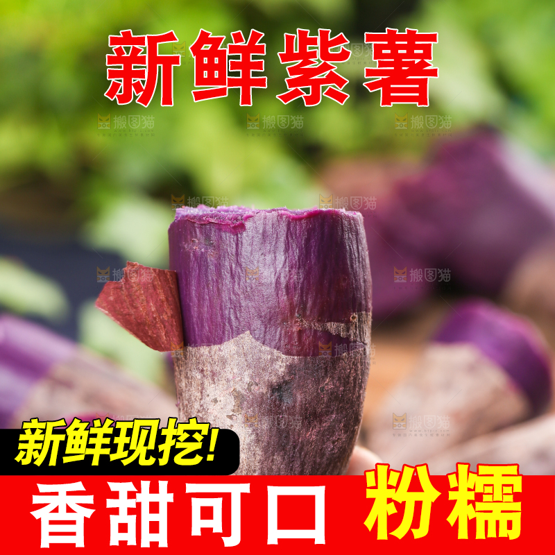 手上拿着熟的板栗紫薯