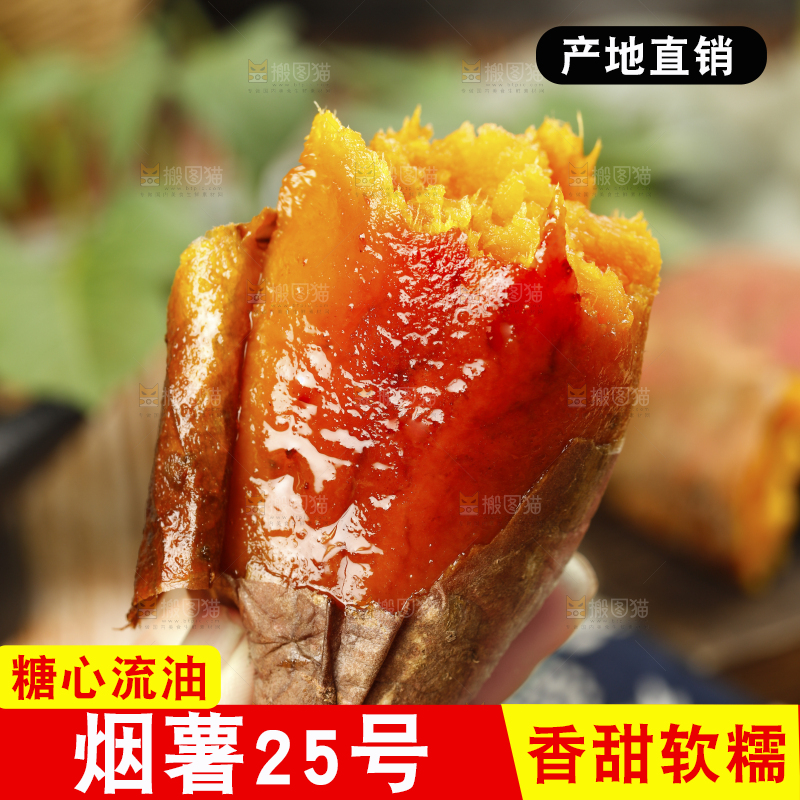 烟薯主图