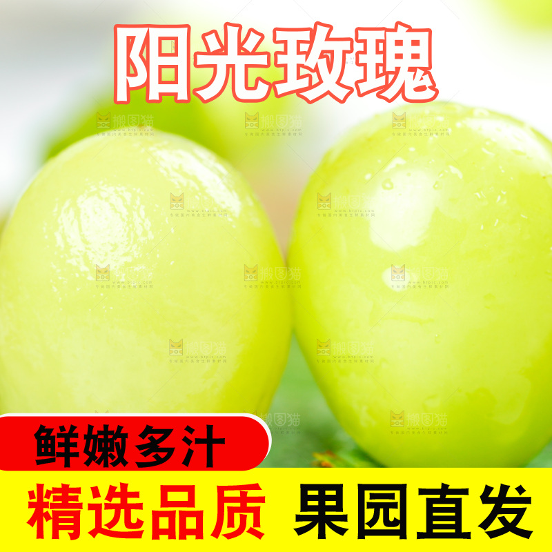 木底上的晴王香印青提