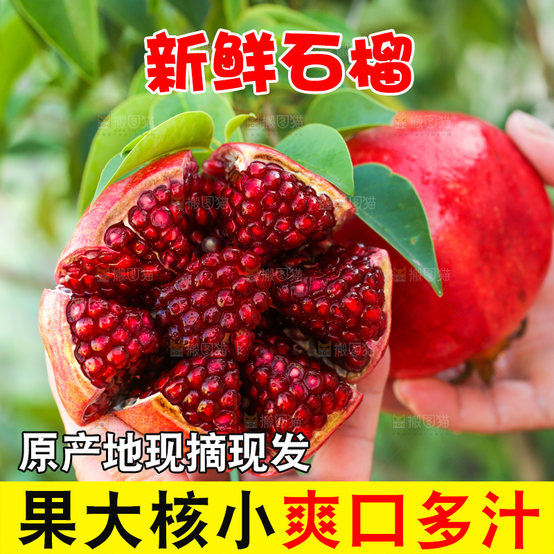 手上拿着剥开黑珍珠石榴