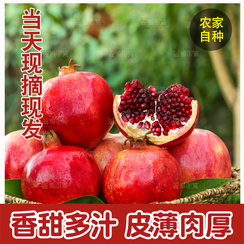 绿色草坪上放着一篮软籽石榴