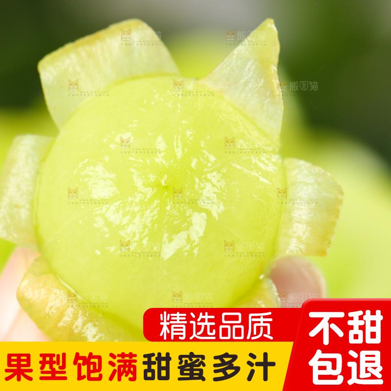 手上拿着无籽青提