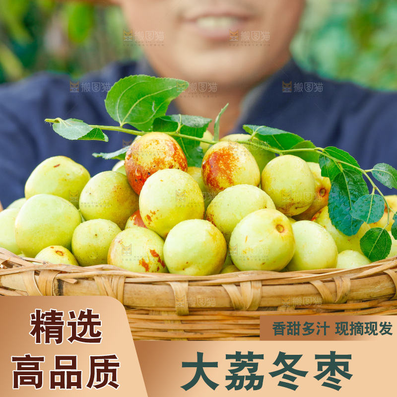 农民手上端着一篮新鲜冬枣