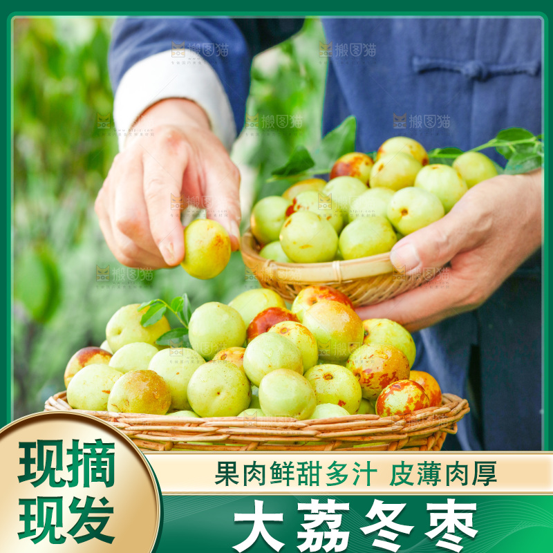 绿草坪上的大荔冬枣