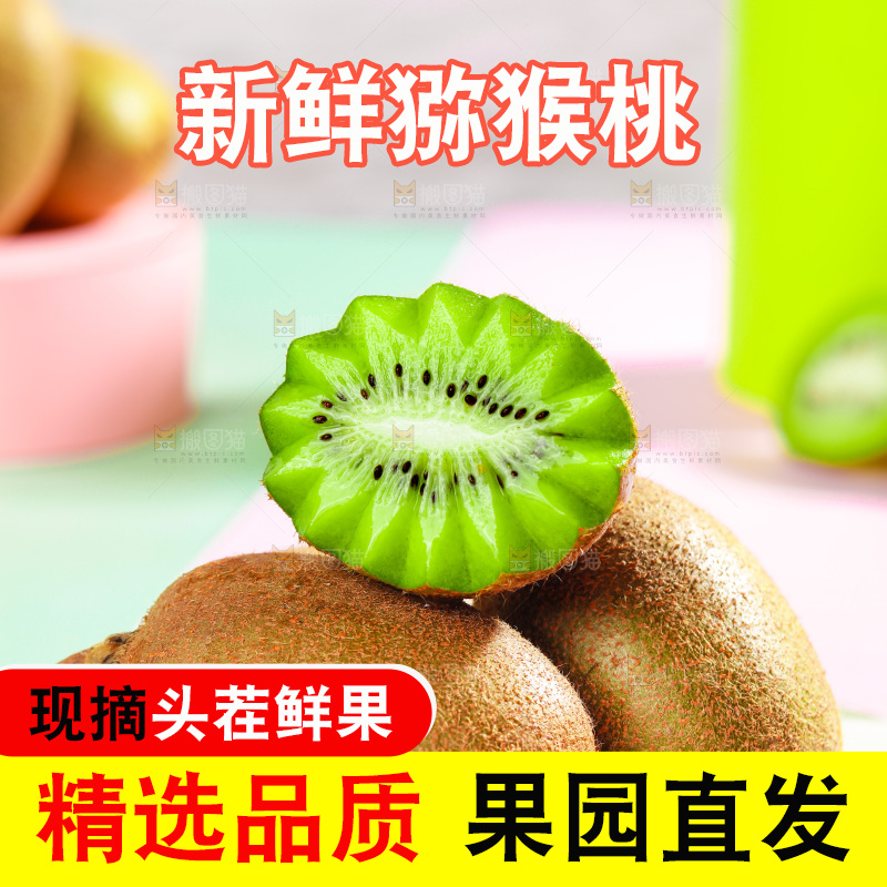 石盘里的秦岭猕猴桃