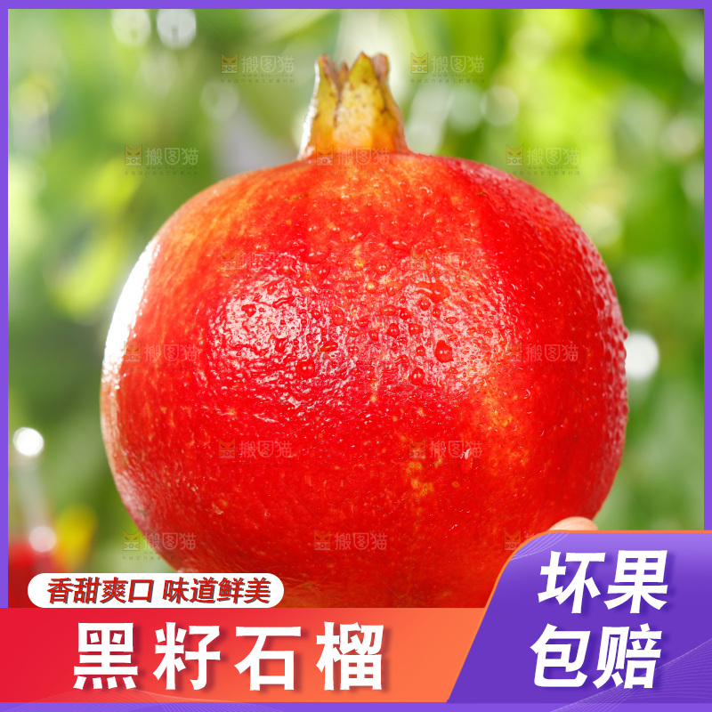 手上拿着软籽石榴