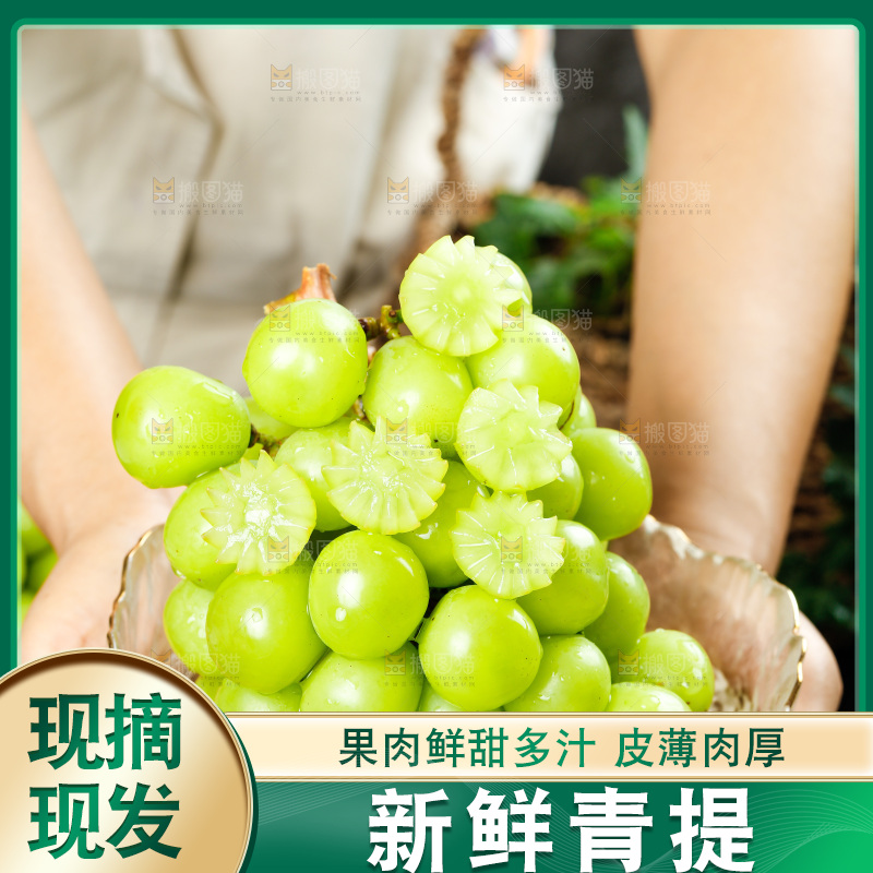 手上端着一碗晴王青提