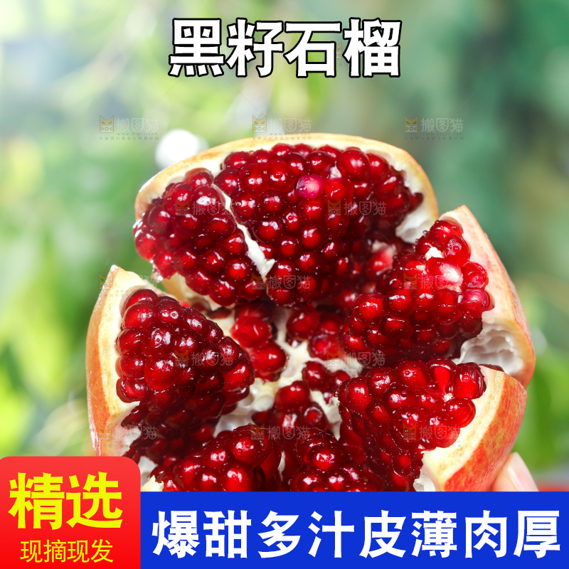 手上拿着软籽石榴