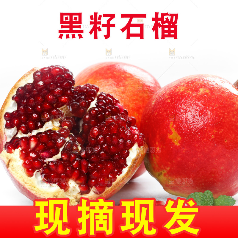 白底上的突尼斯软籽石榴