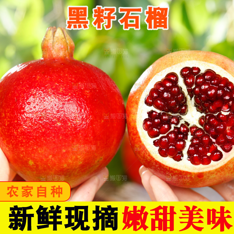 手上拿着软籽石榴