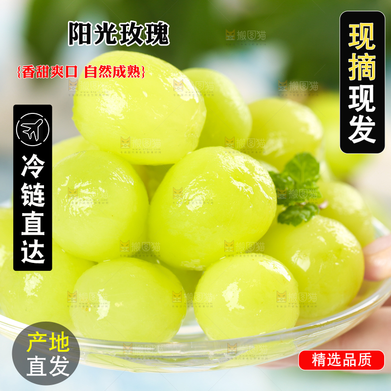 手上端着一盘晴王青提