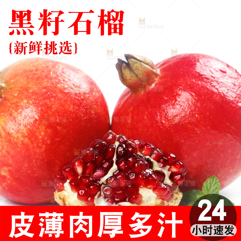 白底上的石榴