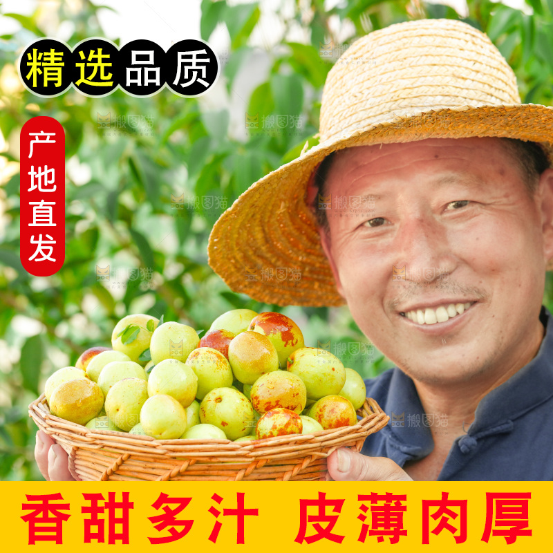 农民手上端着一篮新鲜冬枣