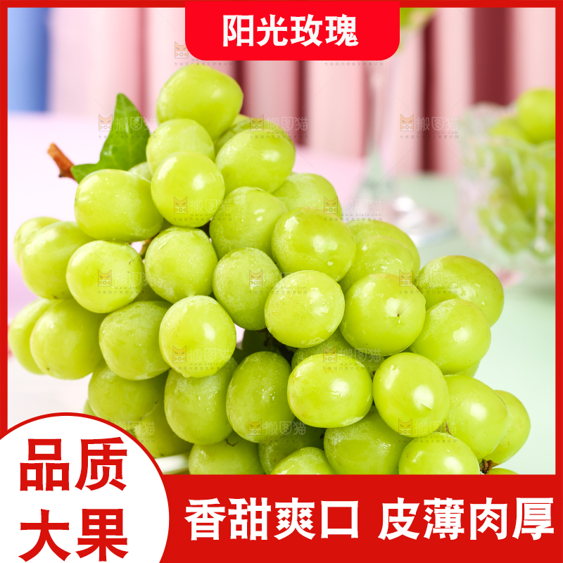 浅底上的晴王香印青提