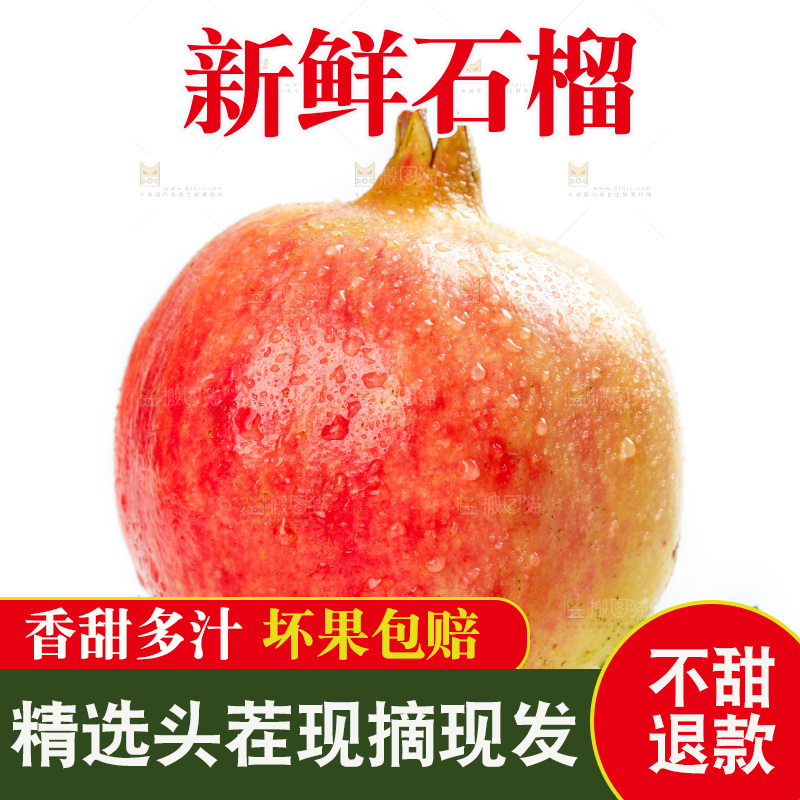 白底上的石榴