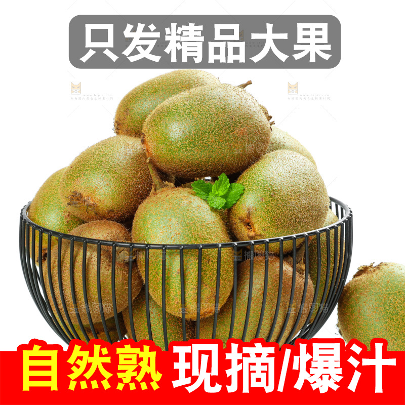 白底上一篮秦岭猕猴桃