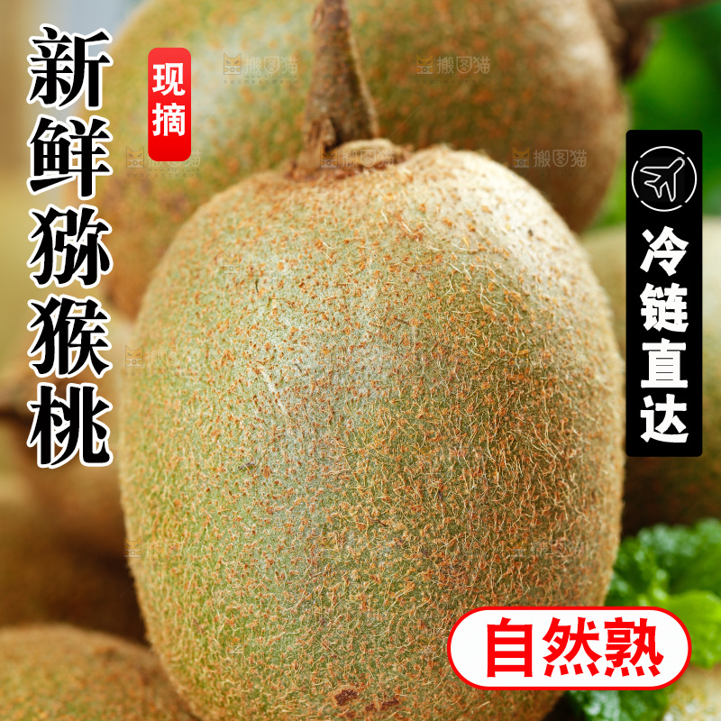 佳沛奇异果主图