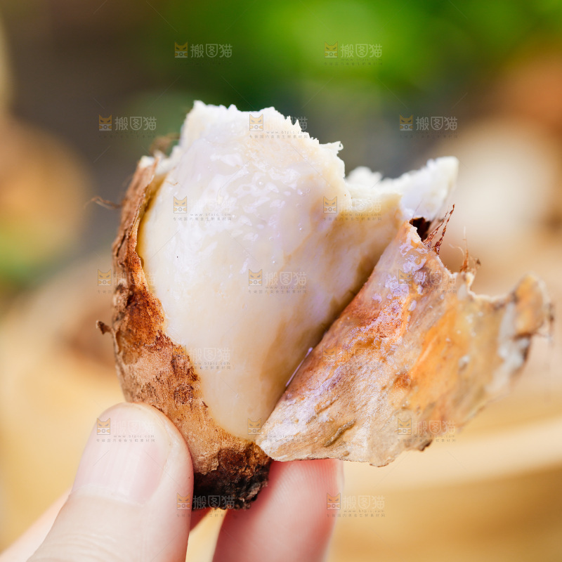 手上拿着小芋头