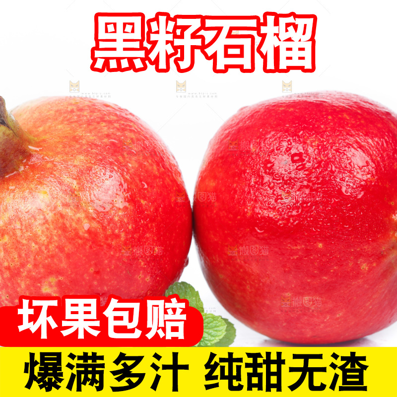 白底上的软籽红石榴