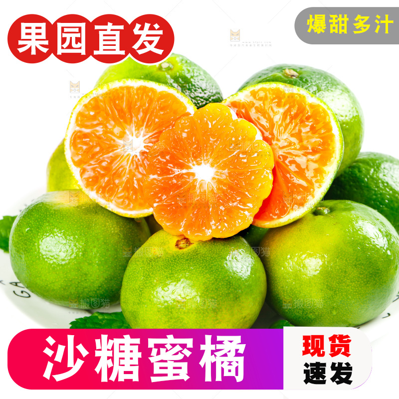 白底上盘子里的宜昌蜜桔