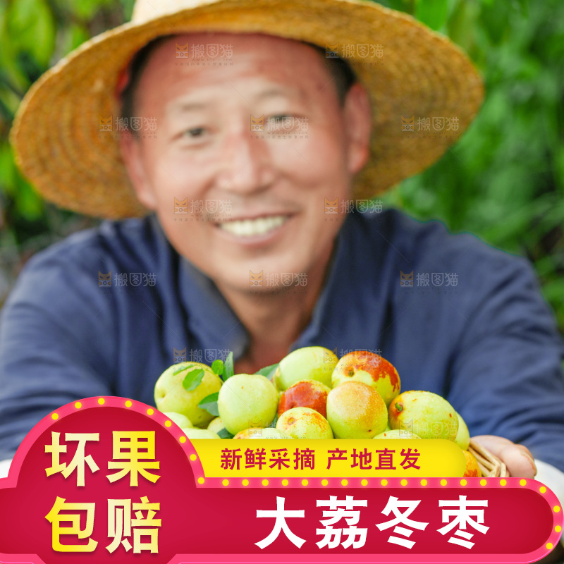 农民手上端着一篮新鲜冬枣
