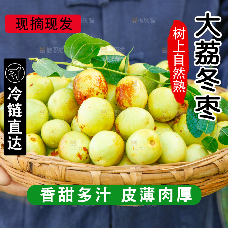 农民手上端着一篮新鲜冬枣